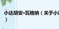 小達胡安·瓦格納(關于小達胡安·瓦格納簡介)