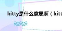 kitty是什么意思啊(kitty是什么意思)
