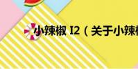 小辣椒 I2(關于小辣椒 I2簡介)