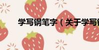 學寫鋼筆字(關于學寫鋼筆字介紹)
