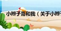 小辮子哥和我(關于小辮子哥和我簡介)