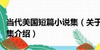 當代美國短篇小說集(關于當代美國短篇小說集介紹)
