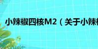 小辣椒四核M2(關于小辣椒四核M2簡介)