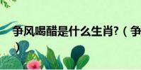 爭風喝醋是什么生肖?(爭風喝醋是什么生肖)