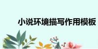 小說環境描寫作用模板(小說環境)