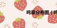 鳴草分布圖(鳴草)