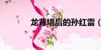 龍背墻后的孫紅雷(龍背墻)