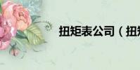 扭矩表公司(扭矩表)