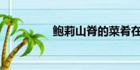 鮑莉山脊的菜肴在哪里?