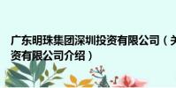廣東明珠集團深圳投資有限公司(關于廣東明珠集團深圳投資有限公司介紹)