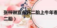 張梓琳宣布懷二胎上牛年春晚(張梓琳宣布懷二胎)