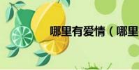 哪里有愛情(哪里有a網)