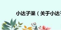 小達子渠(關于小達子渠簡介)