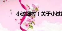 小過細村(關于小過細村簡介)