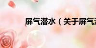 屏氣潛水(關于屏氣潛水簡介)