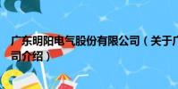 廣東明陽電氣股份有限公司(關于廣東明陽電氣股份有限公司介紹)