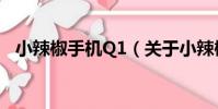 小辣椒手機Q1(關于小辣椒手機Q1簡介)