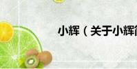 小輝(關于小輝簡介)