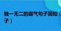 獨一無二的霸氣句子簡短(獨一無二的霸氣句子)
