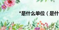 *是什么單位(是什么單位)