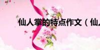 仙人掌的特點作文(仙人掌的特點)