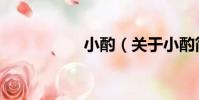 小酌(關于小酌簡介)