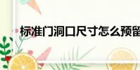標準門洞口尺寸怎么預留(標準門洞)