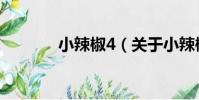 小辣椒4(關于小辣椒4簡介)