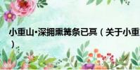 小重山·深擁熏篝條已冥(關于小重山·深擁熏篝條已冥簡介)