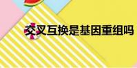 交叉互換是基因重組嗎(交叉互換)