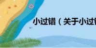 小過錯(關于小過錯簡介)
