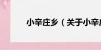 小辛莊鄉(關于小辛莊鄉簡介)