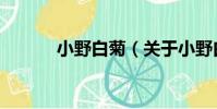 小野白菊(關于小野白菊簡介)