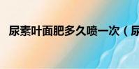 尿素葉面肥多久噴一次(尿素葉面肥濃度)