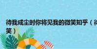 待我成塵時你將見我的微笑知乎(待我成塵時你將見我的微笑)