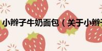 小辮子牛奶面包(關于小辮子牛奶面包簡介)