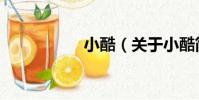 小酷(關于小酷簡介)
