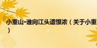 小重山·誰向江頭遺恨濃(關于小重山·誰向江頭遺恨濃簡介)