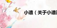 小遺(關于小遺簡介)