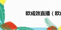 歐成效直播(歐成效)
