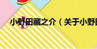 小野田藏之介(關于小野田藏之介簡介)