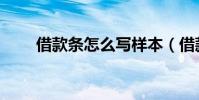 借款條怎么寫樣本(借款條怎么寫)