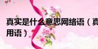 真實是什么意思網絡語(真實是什么意思網絡用語)