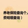 養老保險查詢個人賬戶繳費明細（養老保險查詢個人賬戶繳費明細查詢）