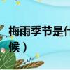 梅雨季節是什么時候入梅（梅雨季節是什么時候）