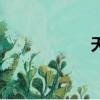 天盾防火墻（天盾）