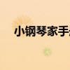小鋼琴家手冊（關于小鋼琴家手冊簡介）