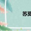 蘇莫吞噬武魂小說筆趣閣