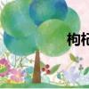 枸杞泡水喝三大忌（枸）