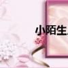 小陌生人（關于小陌生人簡介）
